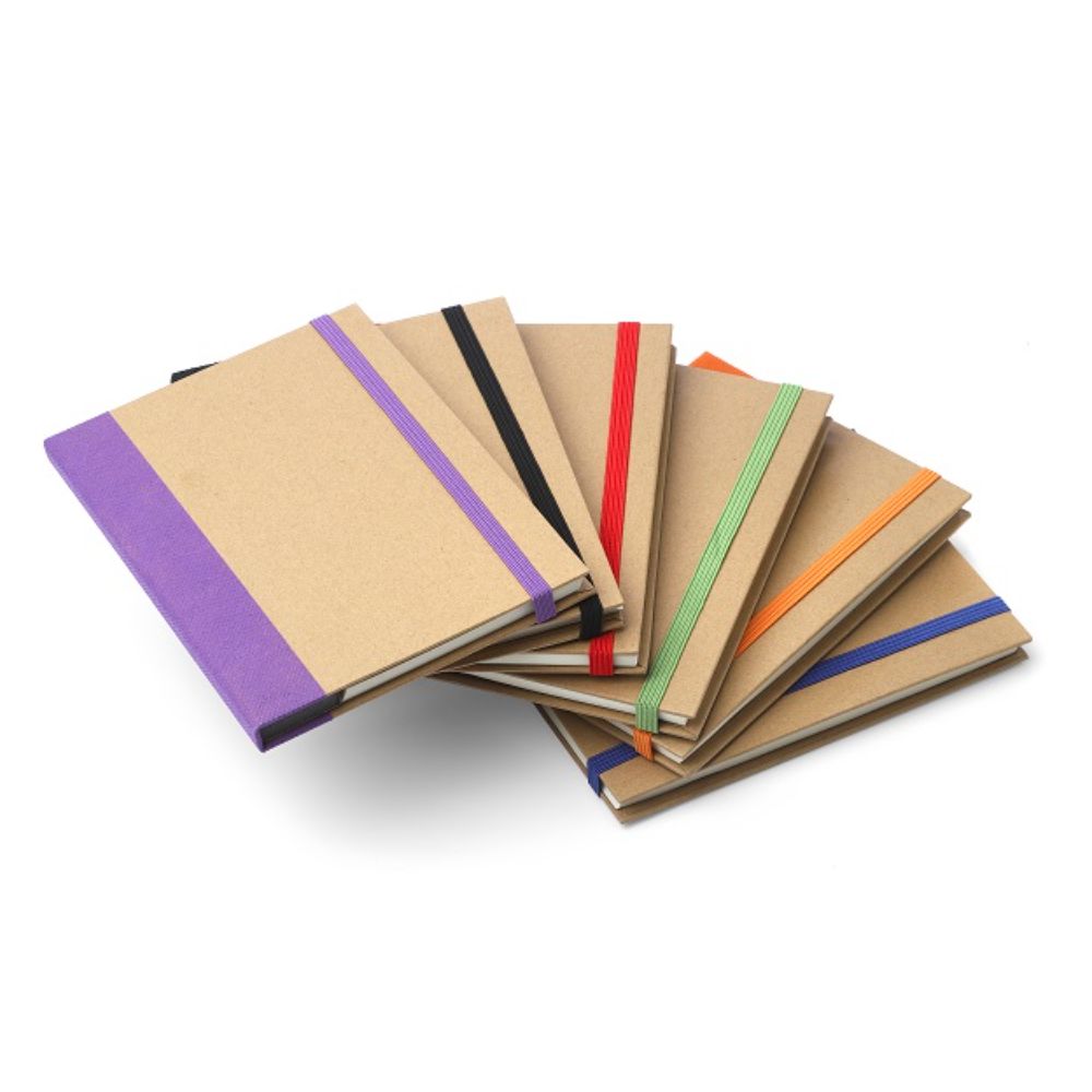 858 NUevos Colores