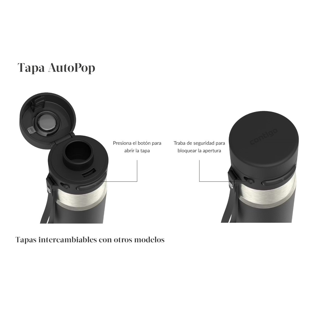 Contigo Botella Térmico Autopop 532ml. 3- Botella autopop contigo 532ml con logo para Merchandising y Regalos Empresariales